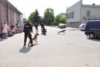 Dzieci uczestniczą w pokazie tresury psów służbowych przygotowanym przez przewodników z KPP w Bielsku Podlaskim.