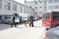 Pokaz tresury psów służbowych przygotowany przez przewodników z KPP w Bielsku Podlaskim.