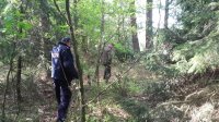 Działania policjantów na rzecz bezpieczeństwa nad wodą i w lesie