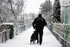 Policjant z psem patroluje teren ogródków działkowych