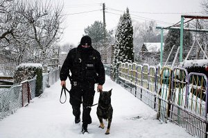 Policjant z psem patroluje teren ogórdków działkowych
