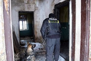 Policjant z psem sprawdza pustostan